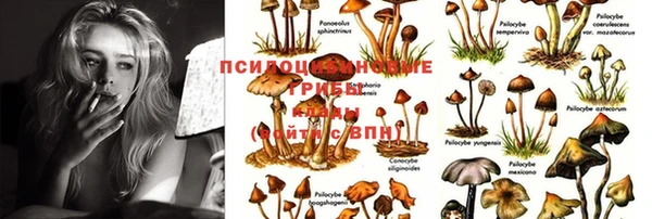бутират Абаза