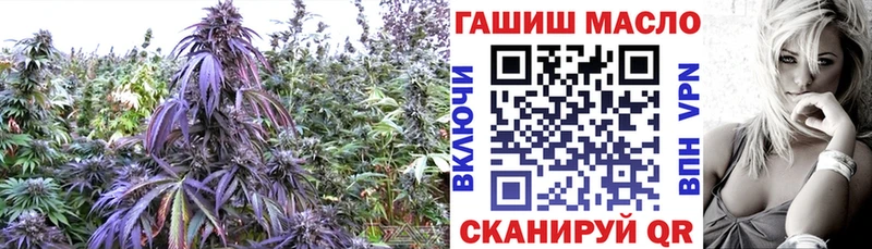 Дистиллят ТГК вейп с тгк  закладки  Дубовка 