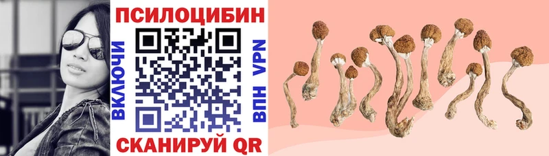 Псилоцибиновые грибы Magic Shrooms  Дубовка 